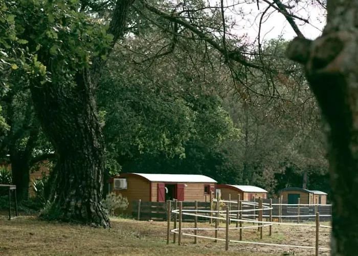 Roulottes cocooning au coeur des Landes
