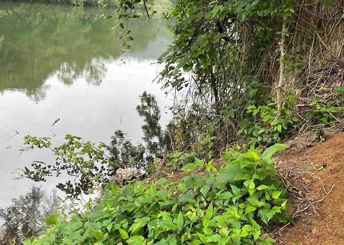 Pets Welcome Rv Sleeps 4 + Guadalupe River Access