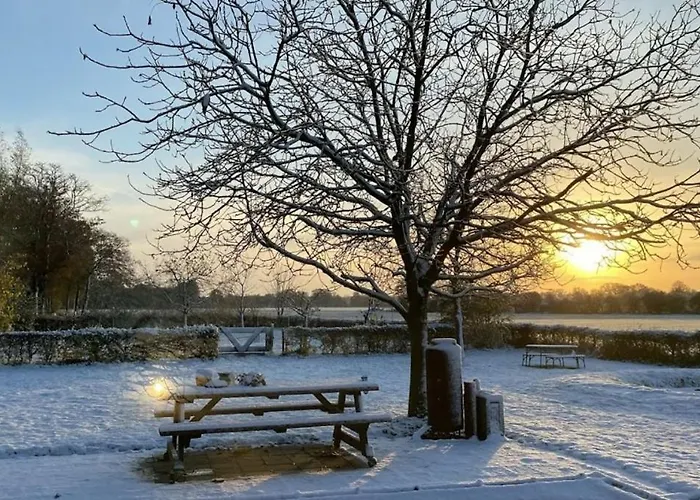 Natuurhuisje De kleine Varenhorst