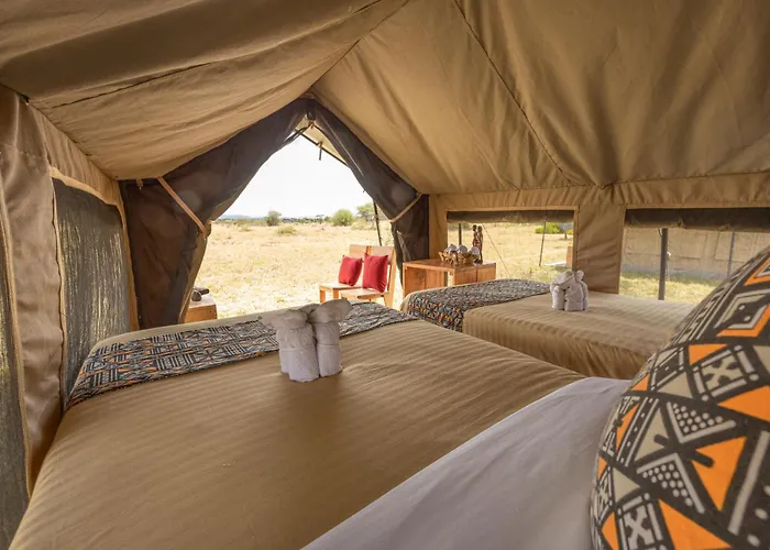 Africa Safari Ngorongoro Ndutu Camping