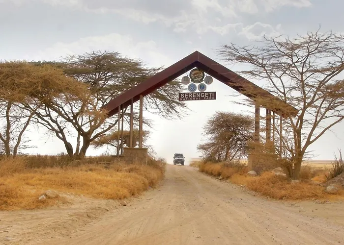 Africa Safari Ngorongoro Ndutu Camping
