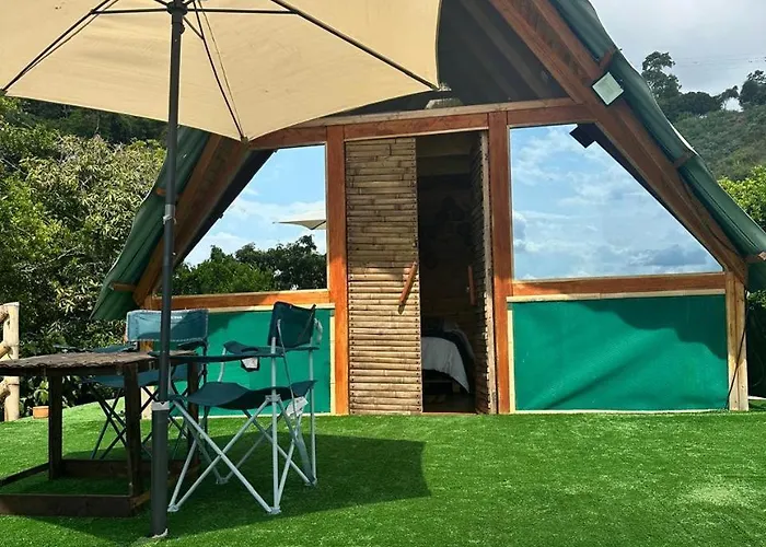 Junglamp-Conexion Con La Naturaleza