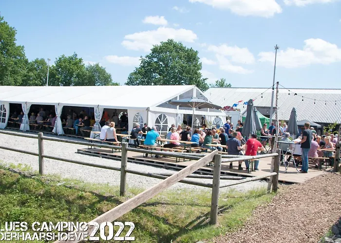 De Bluesfestivalcamping 2025