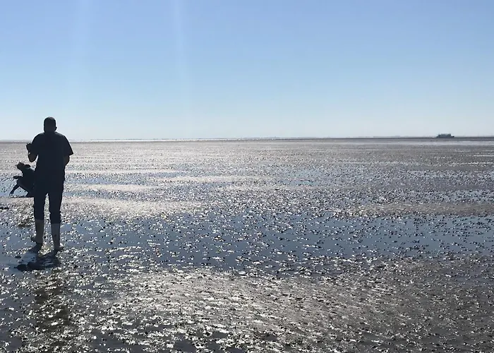 Camping Zee Van Tijd Holwerd