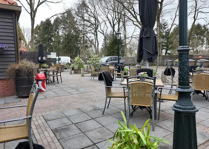 Sfeervol Chalet - Gelegen In bosrijkgebied van Drenthe - Rust en Natuur