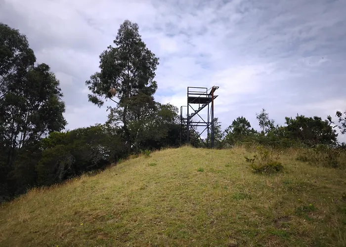 Cabañas Del Árbol n2