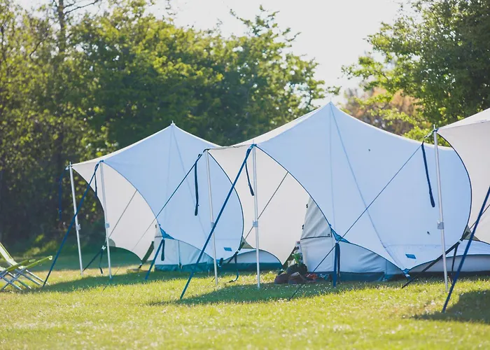 Bluecamp Oerol26- Tent&Breakfast