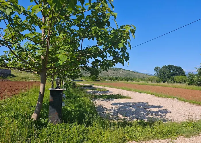 Auto camp Matica