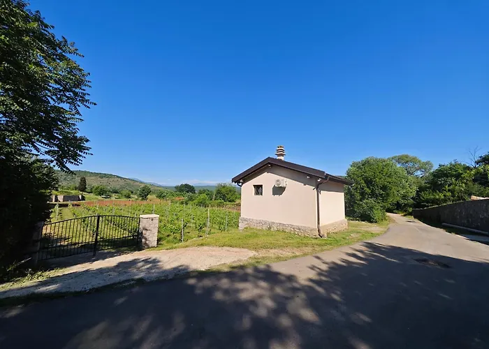 Auto Camp Matica