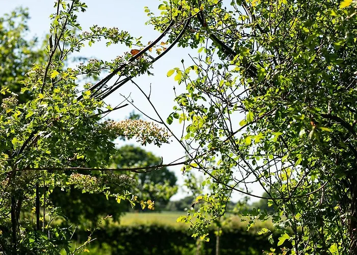 Natuurhuisje De kleine Varenhorst