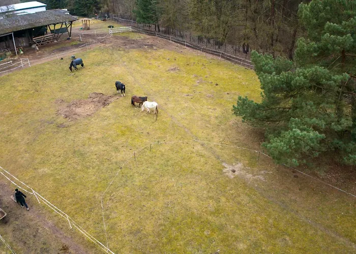 Wohnwagen auf Tierschutz Landhof inmitten der Natur