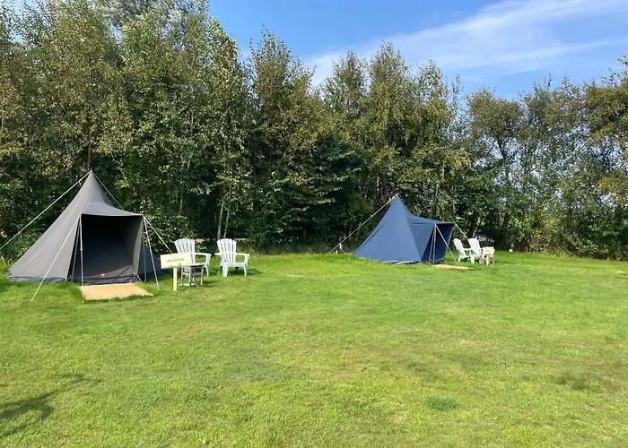 Duintentje