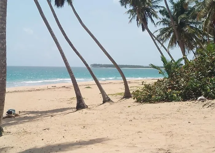 Punta Cana Life