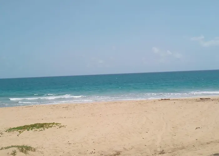 Punta Cana Life