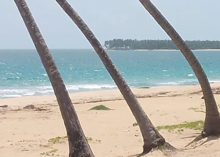 Punta Cana Life