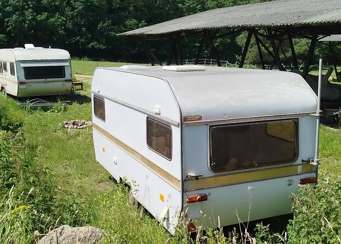 Heller Wohnwagen auf Tierschutz Landhof inmitten der Natur