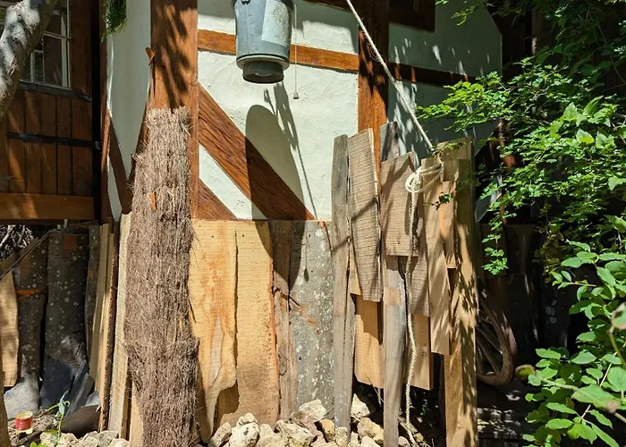 La Cabane du Druide Karvalan
