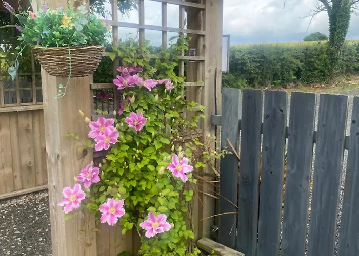 Bonnyview Glamping