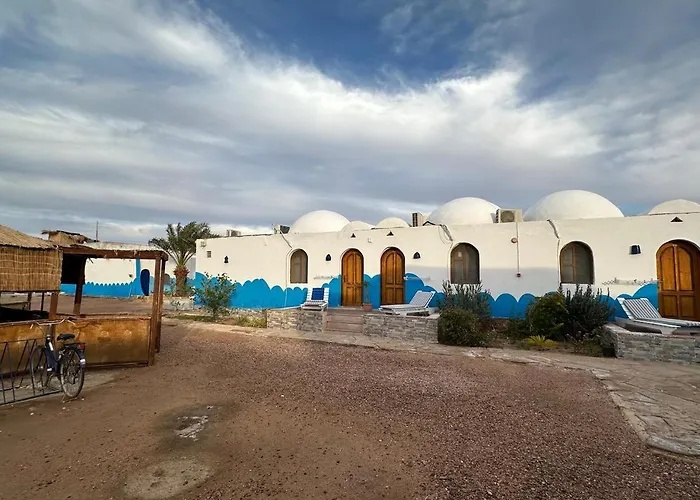 Dolphin Camp