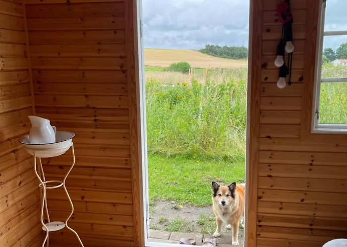 Frølundegaard B&B