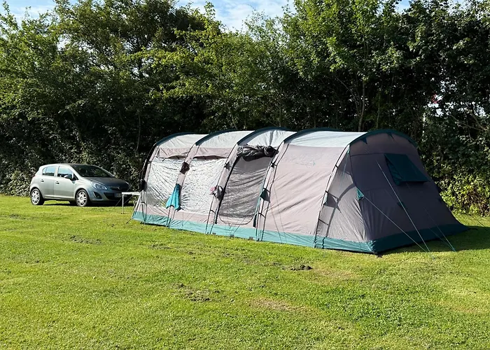 Dancamps Trelde Naes (Camp Site)