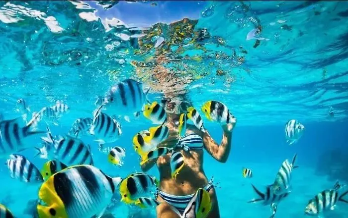 Tours A La Isla Saona