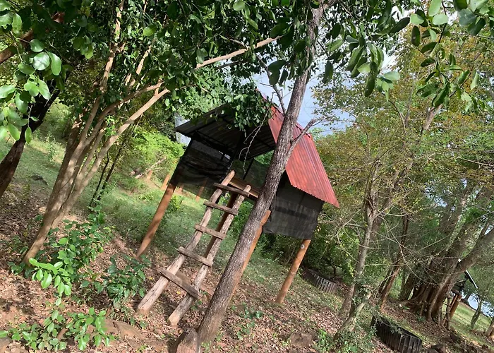 Sorabora Like View Camps