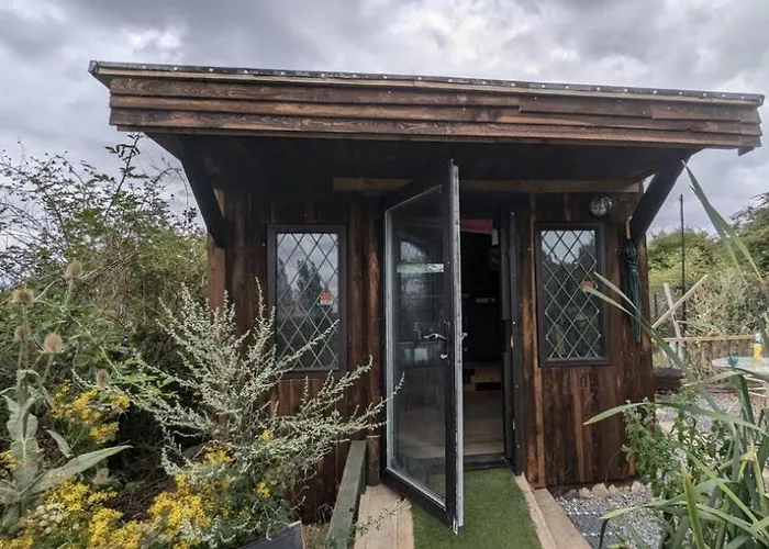 The Willow Cabin