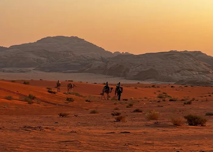 Wadi Rum Sky Tours & Camp