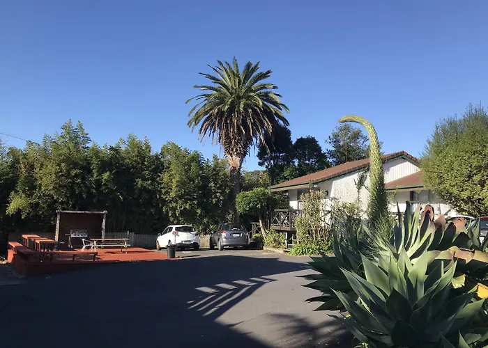 Siesta Motel