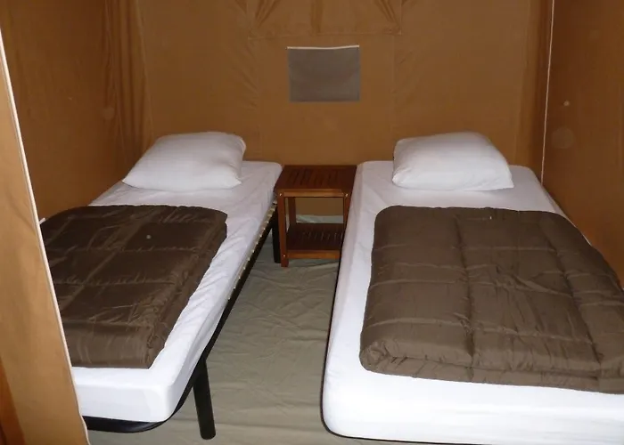 Camping Du Pont D'Avignon