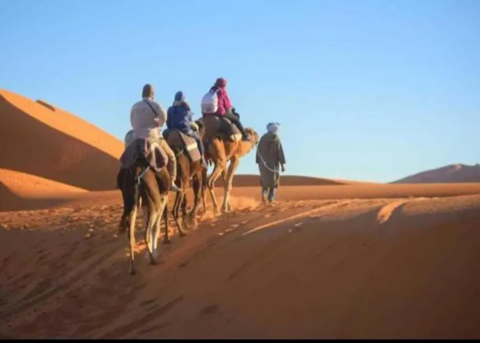 Berber Sahara