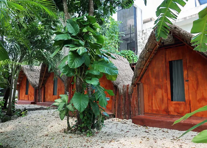 El Búho Glamping Bacalar