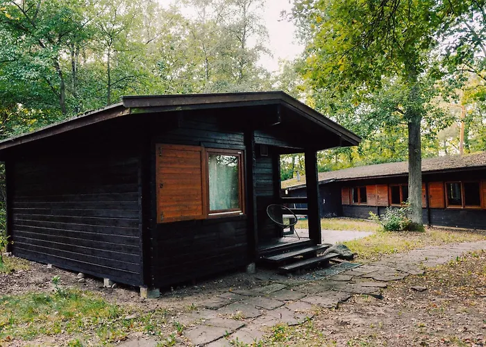 Waldhaus Molzen - Natur erleben