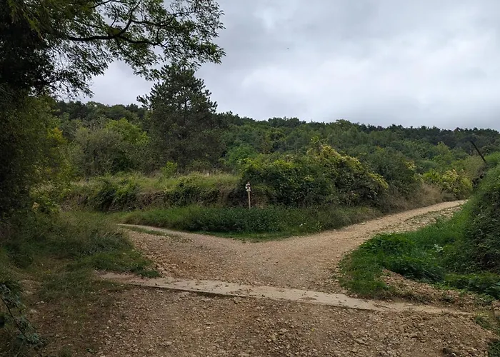 La Cabane du Druide Karvalan