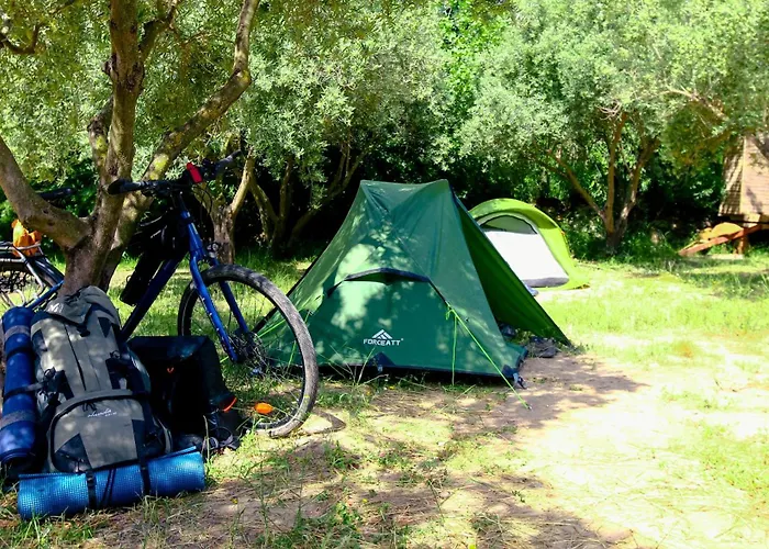 Parcela autocaravana o tienda propia - Wellnesscamp Oasis Al Hamam
