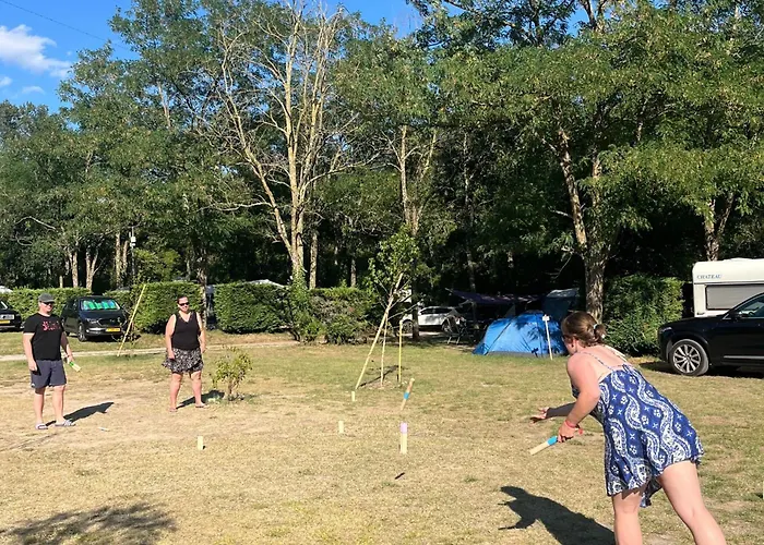 Ludocamping