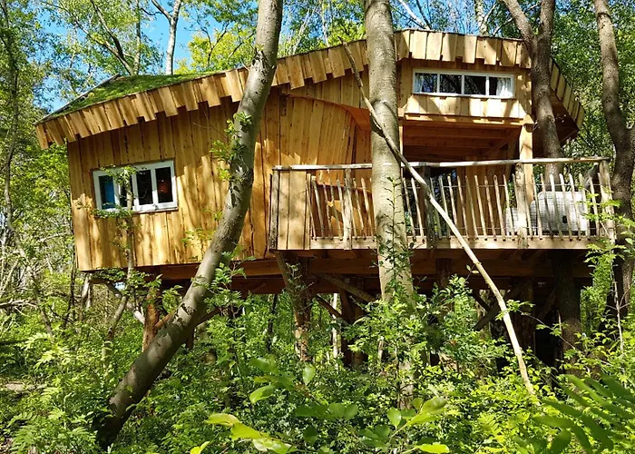 Boomhut XXL