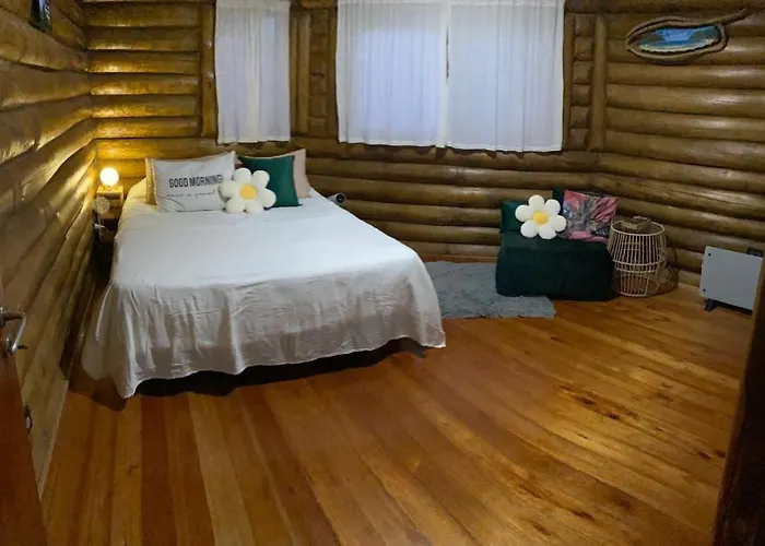 Cabana Octogonal Rodeada De Naturaleza