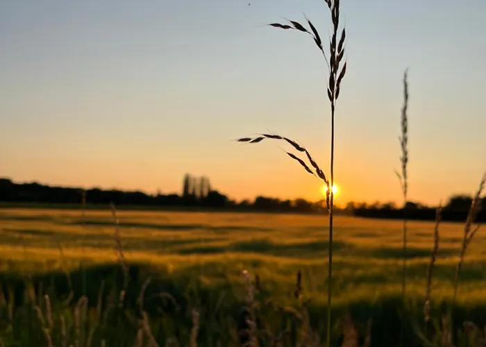 Erve Zonnehoeve Minicamping en Wijngaard