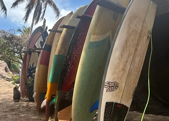 Eco Camping Surf