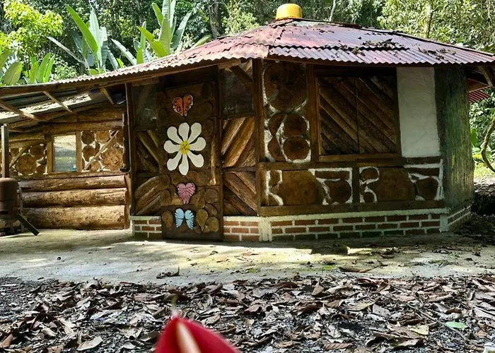 Bosque De Oro