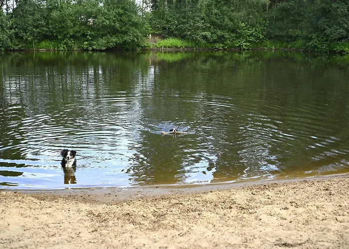Camping&Ferienpark Falkensteinsee