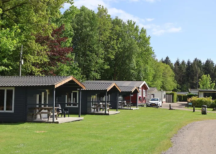 Vakantiepark t Urkerbos - Blokhutje