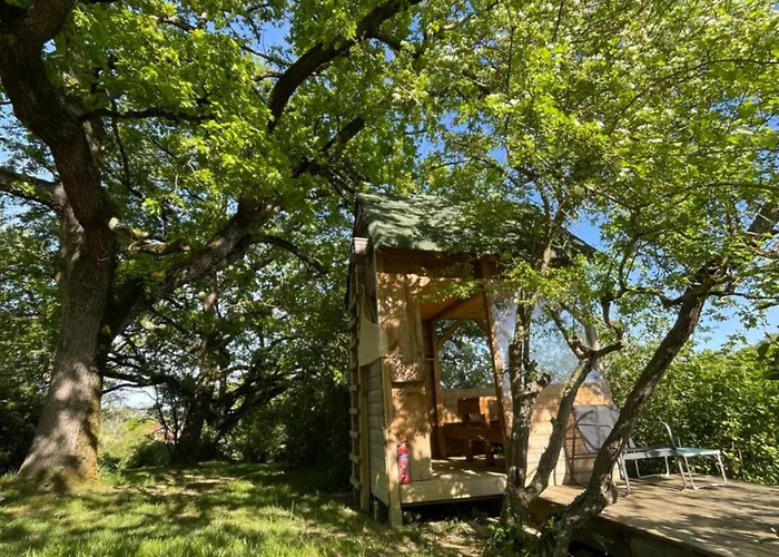 Cabane Bivouac avec échelle à l'ombre des chênes