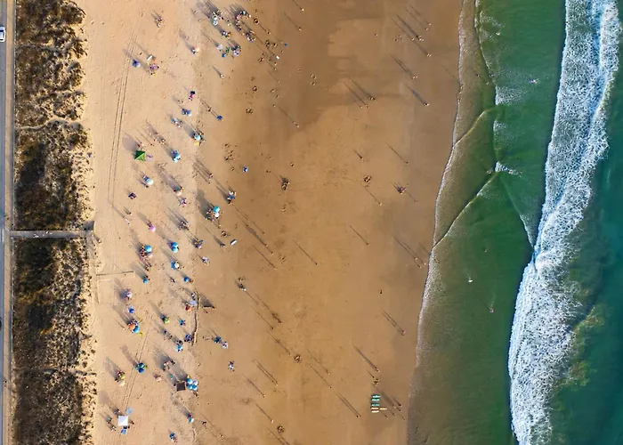 Kampaoh El Palmar