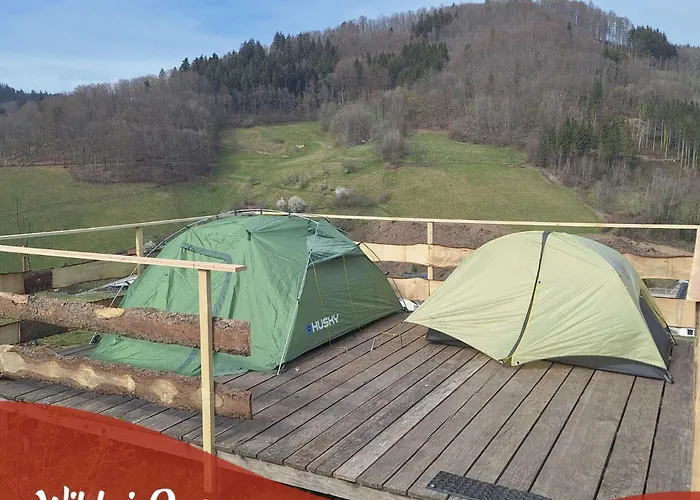 Wildnis-Camp Schwarzwald