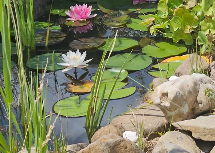 Camping im Igluzelt im Privatgarten mit warmer Lutzmatratze und Komfort Schlüchtern Main-Kinzig