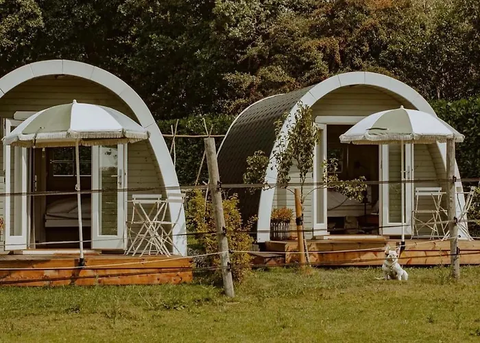 De verpozing - Tinyhouse Nr1