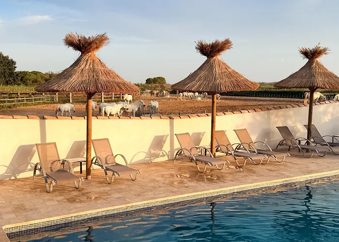 Hotel Mas Des Barres